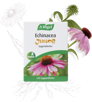 A.Vogel Echinacea Junior (120 tabl.)